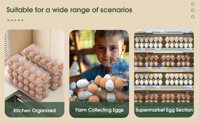 Clear Plastic Egg Cartons - Clear Containers With Date Labels - Bulk Egg Storage Set - Reusable Storage Containers - 12-Count, Pack Of 48 0