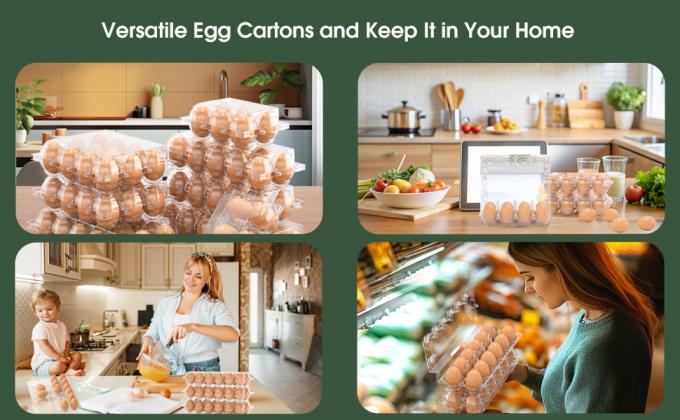 Clear Plastic Egg Cartons - Clear Containers With Date Labels - Bulk Egg Storage Set - Reusable Storage Containers - 12-Count, Pack Of 48 4