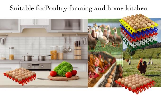 再利用可能なプラスチック製の卵皿 30個の卵を集める箱 家庭用鶏飼育用 積み重ね可能な卵箱 多数の卵を収納し,保存,分類,運送するのに最適 耐久性があり再利用可能 0