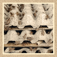 パック 卵 カートン カートン 卸品 30 セル パルス 繊維 卵 フラット 繰り返し 使える 積み重ね 可用 紙箱 トレイ 家庭 収納 梱包 ワニコロニー 防音 4