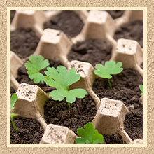 パック 卵 カートン カートン 卸品 30 セル パルス 繊維 卵 フラット 繰り返し 使える 積み重ね 可用 紙箱 トレイ 家庭 収納 梱包 ワニコロニー 防音 3