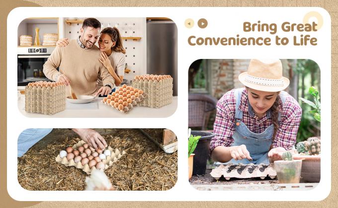 パック 卵 カートン カートン 卸品 30 セル パルス 繊維 卵 フラット 繰り返し 使える 積み重ね 可用 紙箱 トレイ 家庭 収納 梱包 ワニコロニー 防音 7