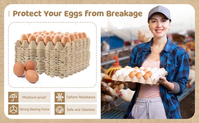 パック 卵 カートン カートン 卸品 30 セル パルス 繊維 卵 フラット 繰り返し 使える 積み重ね 可用 紙箱 トレイ 家庭 収納 梱包 ワニコロニー 防音 6