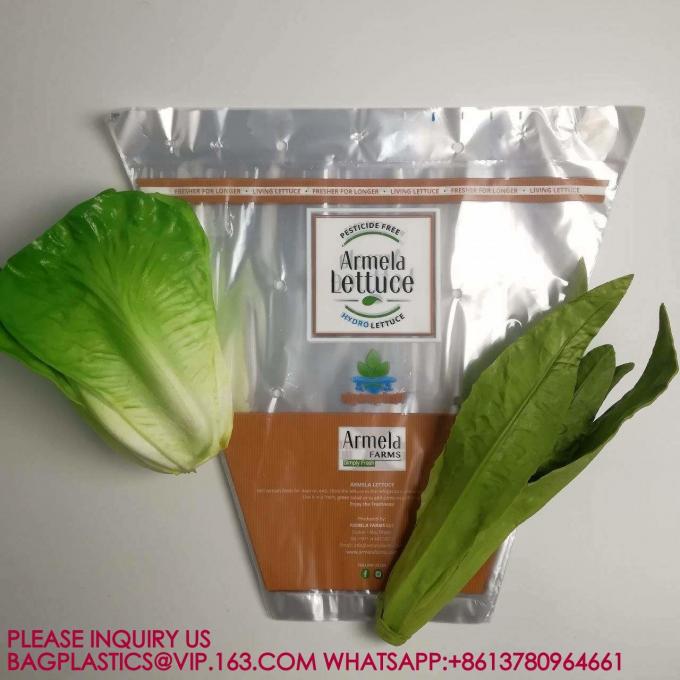 生態に優しいセルロファンの野菜袋を製造 ロゴをカスタマイズする レタス包装袋 0