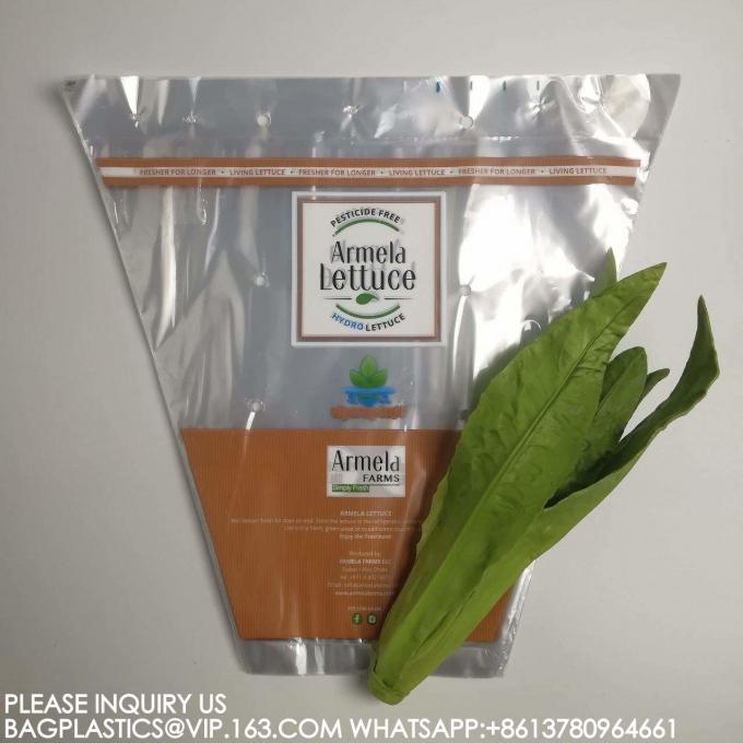 生態に優しいセルロファンの野菜袋を製造 ロゴをカスタマイズする レタス包装袋 3