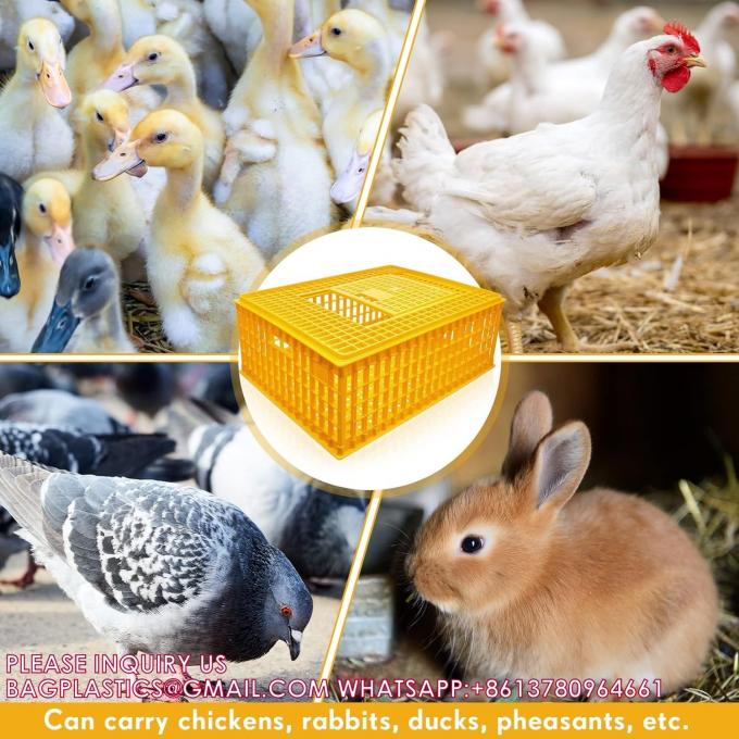 鳥類輸送箱 鶏輸送箱 鳥 鶏輸送箱 旅行箱 バスケボックス 6