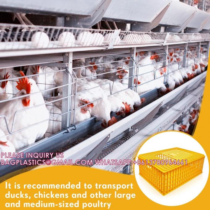 鳥類輸送箱 鶏輸送箱 鳥 鶏輸送箱 旅行箱 バスケボックス 4