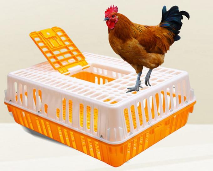 鳥類輸送箱 鶏輸送箱 鳥 鶏輸送箱 旅行箱 バスケボックス 0