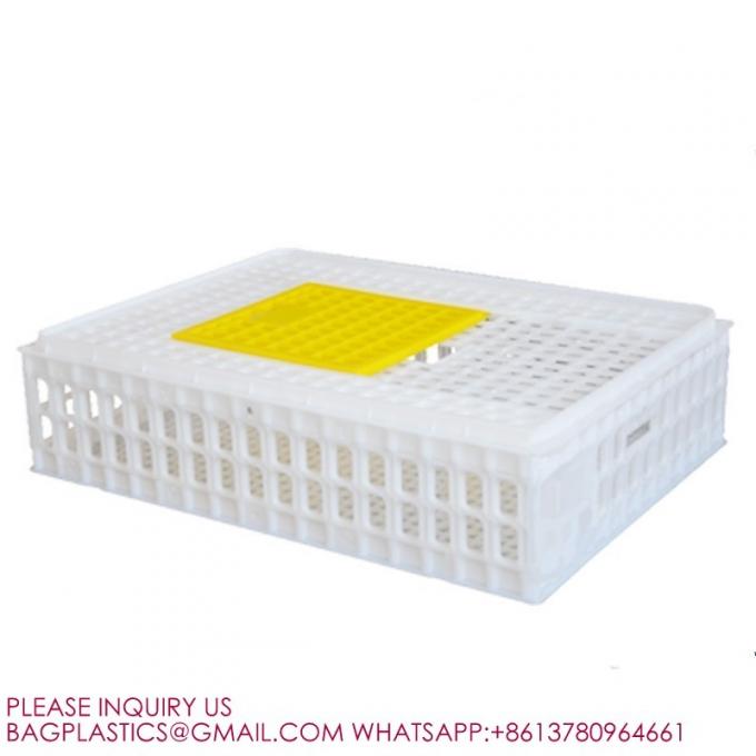 鳥類用箱 鳥類用荷物箱 プラスチック用輸送用箱 鶏の檻 鳥類用荷物箱 3