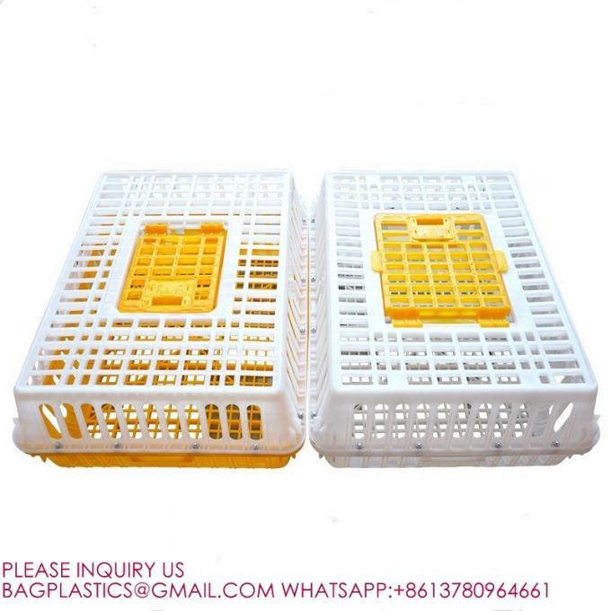 鳥類用箱 鳥類用荷物箱 プラスチック用輸送用箱 鶏の檻 鳥類用荷物箱 0