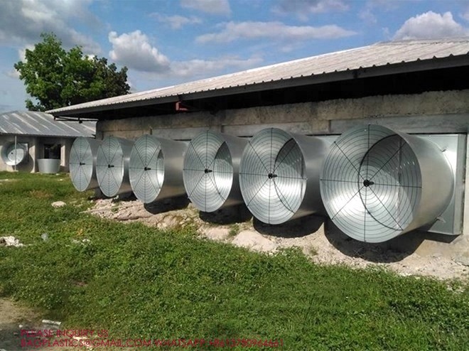 メタル家禽換気システム 壁の排気扇風機 シャッター付き 24インチ排気扇風機 1